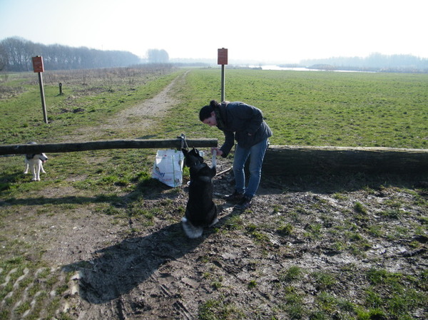 Na training met de step :)