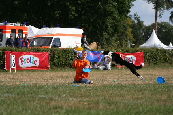 Samen werken met frisbees