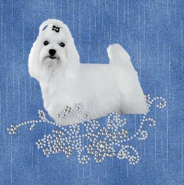 From Conchita's Home