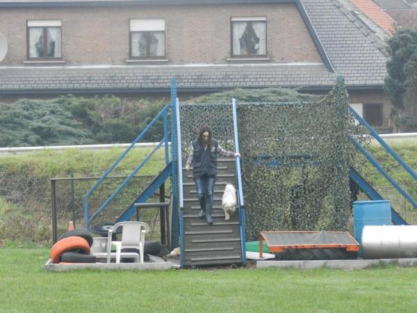 Los volgen over hindernissen