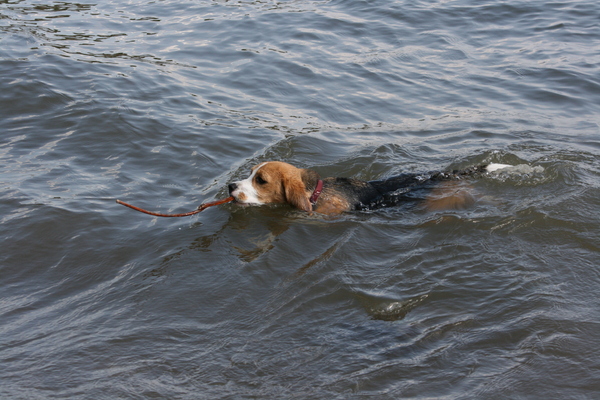 Mijn eerste ZWEMLES !!