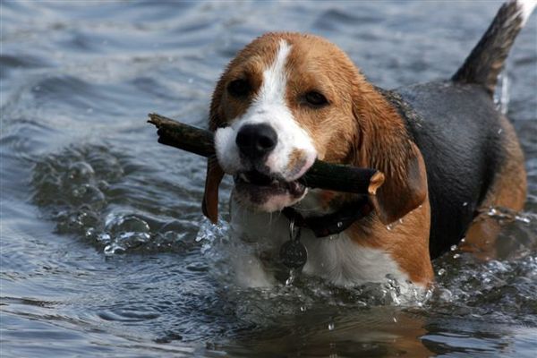 Mijn eerste ZWEMLES !!