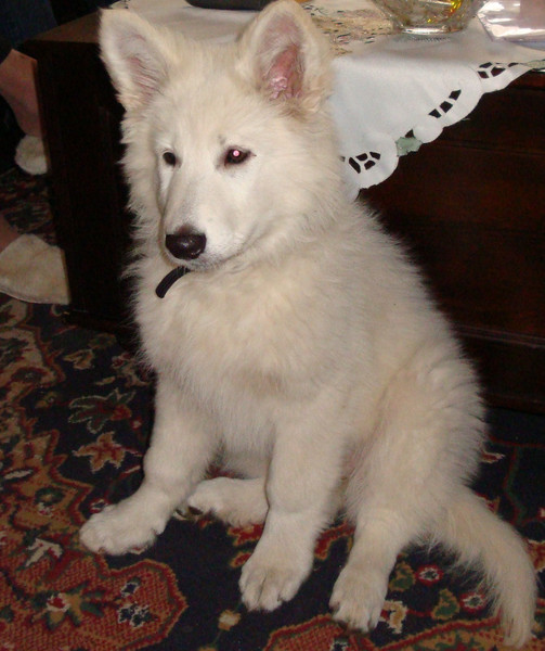 Luna 12 weken