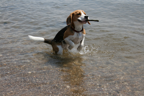 Mijn eerste ZWEMLES !!