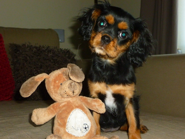 Even poseren met de paashaas