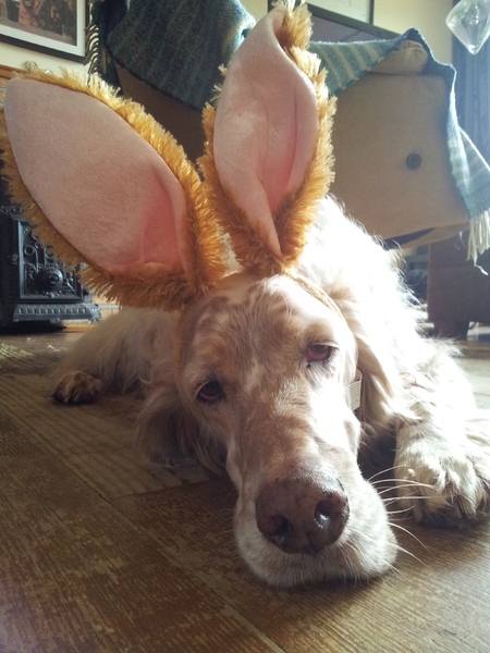 Vrolijk (ahum) Pasen!