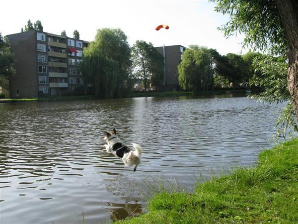 hee m,n frisbee vliegt weg 