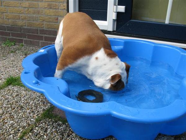 even bodemonderzoek doen