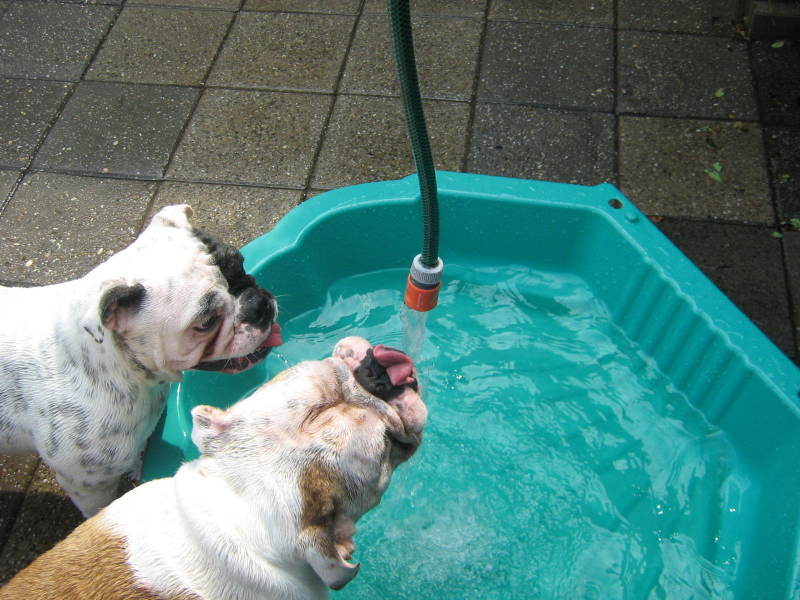 als je weinig water in de buurt hebt