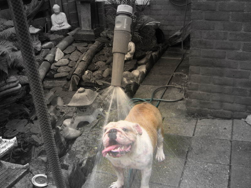 heerlijk zo'n douche!!