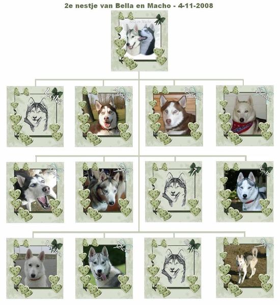 Nestgenoten uit 's Gravezande