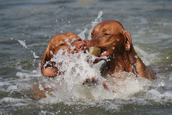 Samen spelen is pas leuk