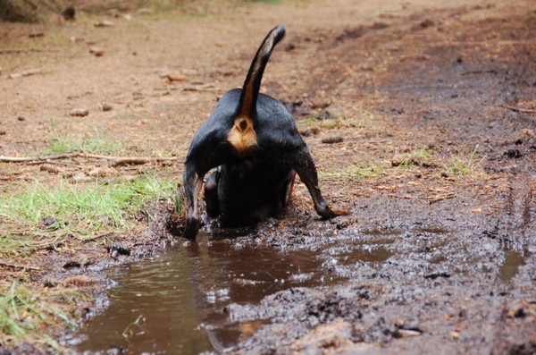 Ik hou echt niet van water