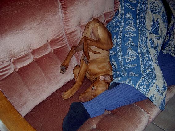 Onderste boven slapen