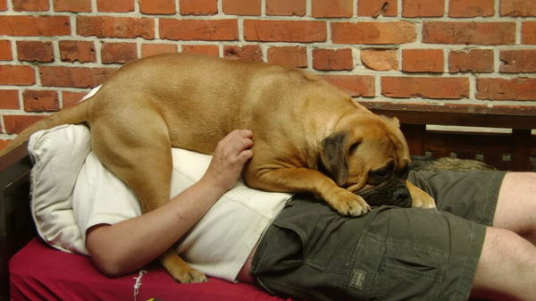 Knuffelen tegen wil en dank