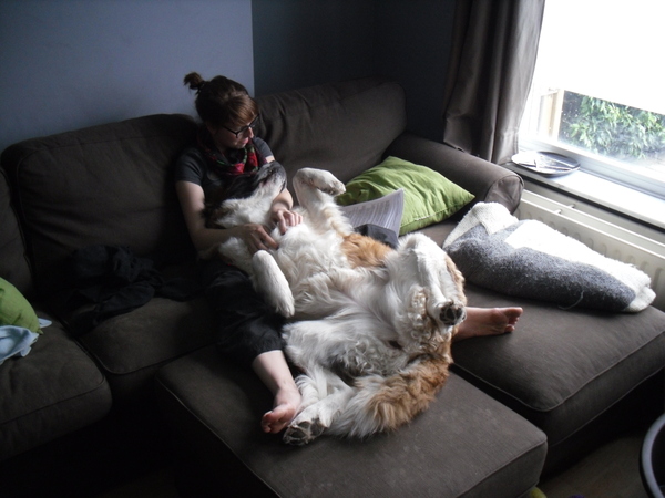 Samen studeren