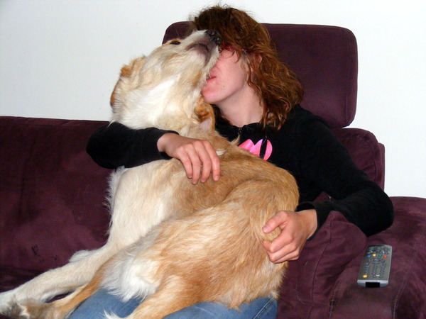 grote honden zijn ook schoothondjes hoor haha