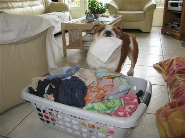 ik pak het kleine wasgoed voor de baas 