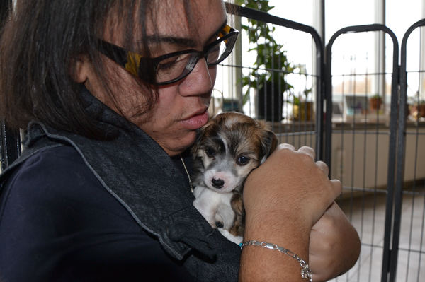 Mijn allereerste knuffel met Elphaba!