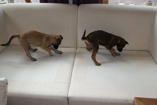 Wat jij doet, doe ik ook:)