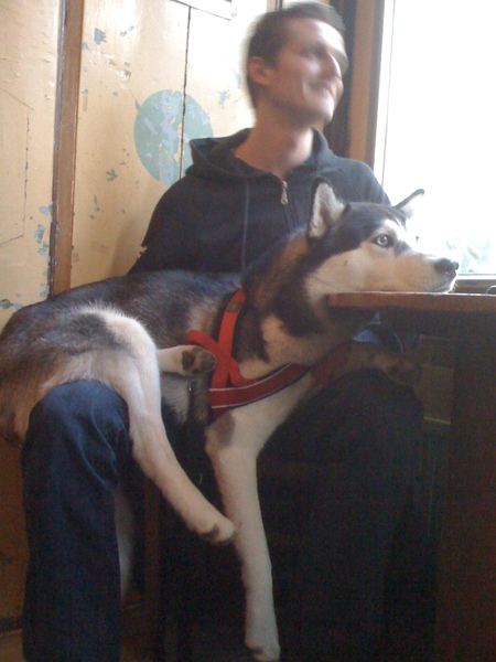 Hij kruipt ook altijd lekker op schoot!