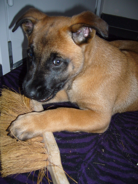 Die prikt wel een beetje!