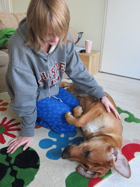 Hoe raarder hoe leuker