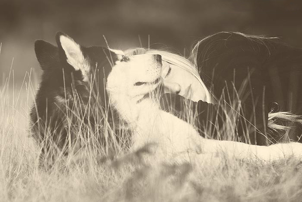 Heerlijk zacht kussen.