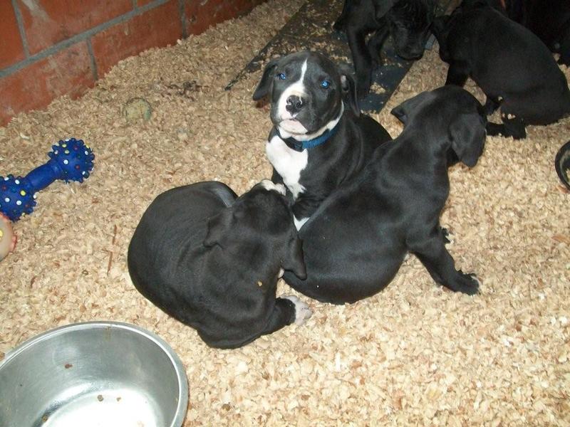 Verliefd op blauwe ogen