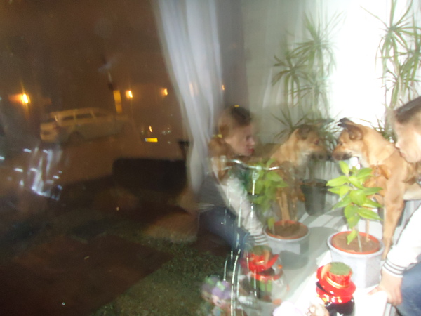 nieuwjaars avond 2012