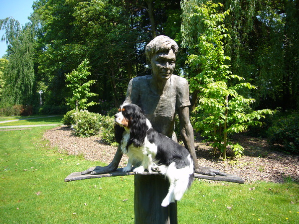 Cavalier King Charles Spaniel