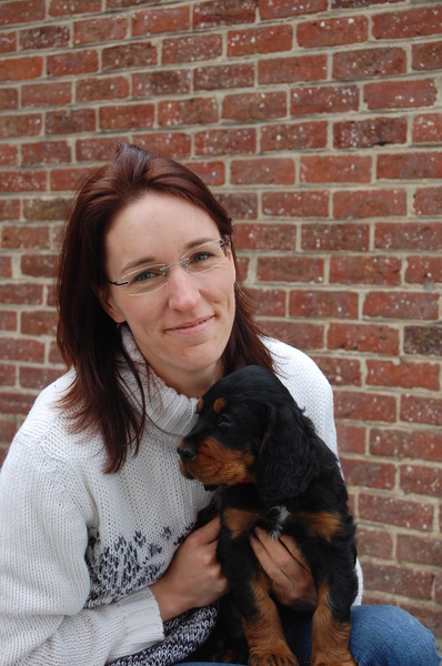 GORDON SETTERS FROM THE GRAZINGLAND