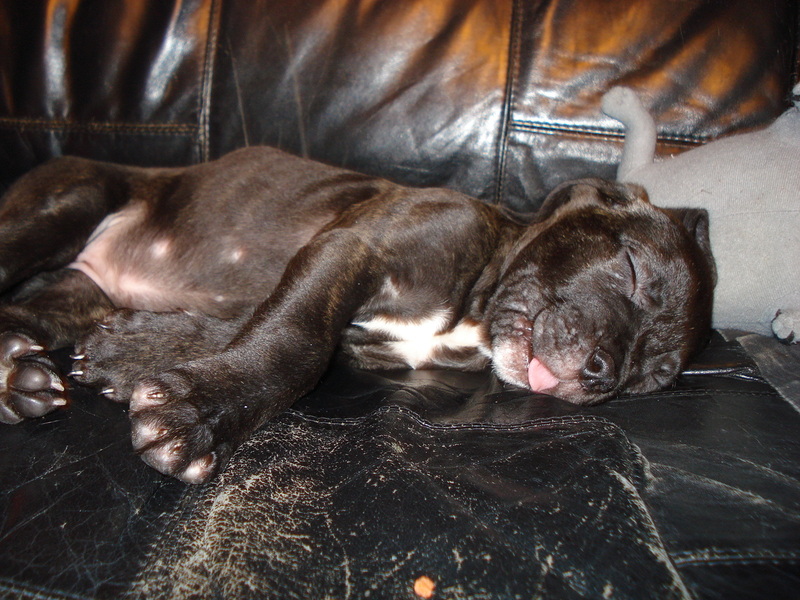 zo lief te slapen :D