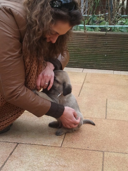 Knuffelen met de baad