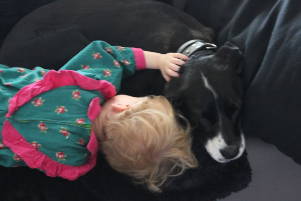 hond en kind