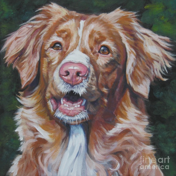 Nova Scotia Duck Tolling Retriever