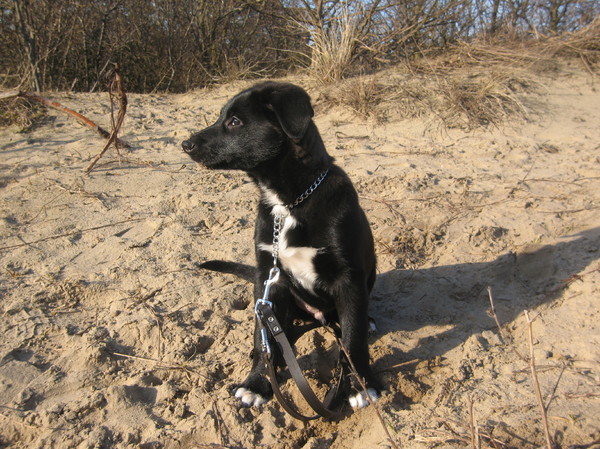 voor het eerst naar duin