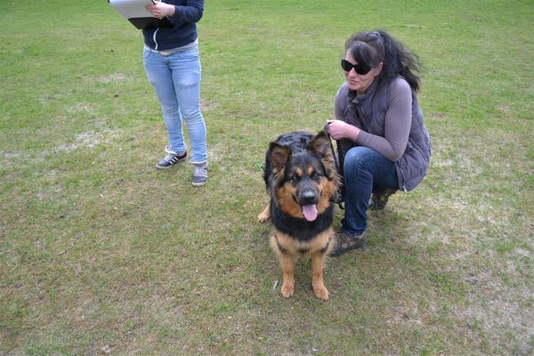 farmerhouserufan, ODH Kennel