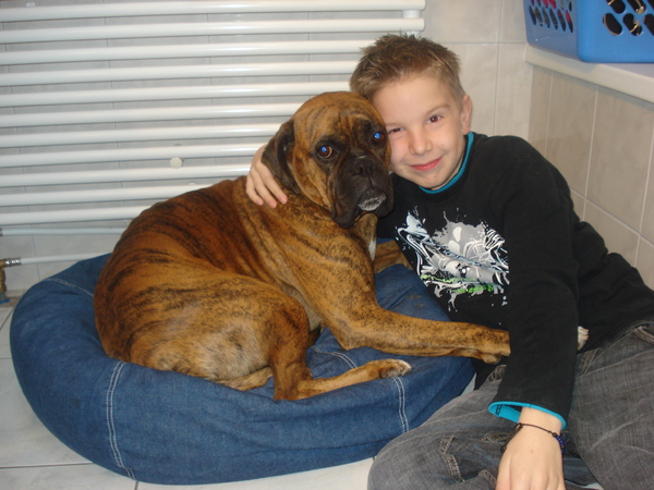 Boxer