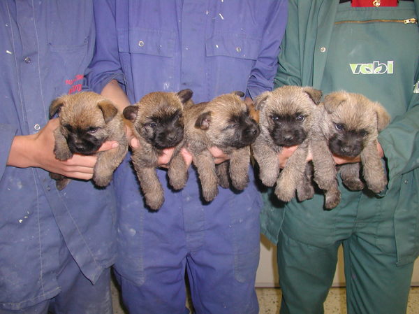 Met zusjes & broertjes