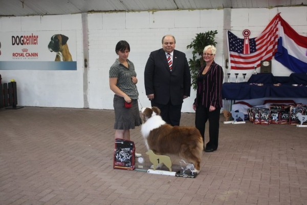 Some Kind of Dreams - Jess's 