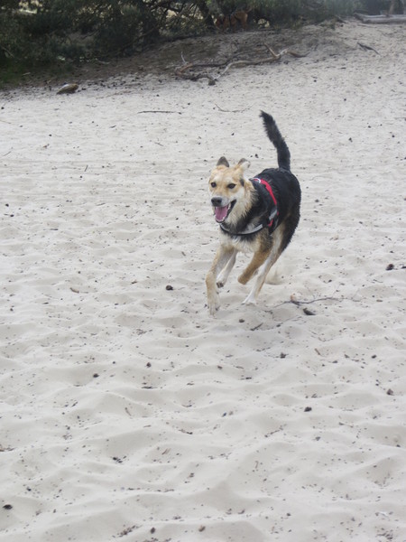 Jaaaaaa stràààààànddd!