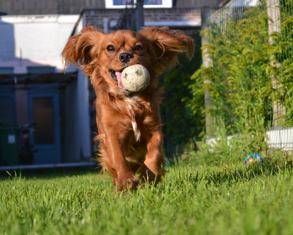 Klaar voor de lente!