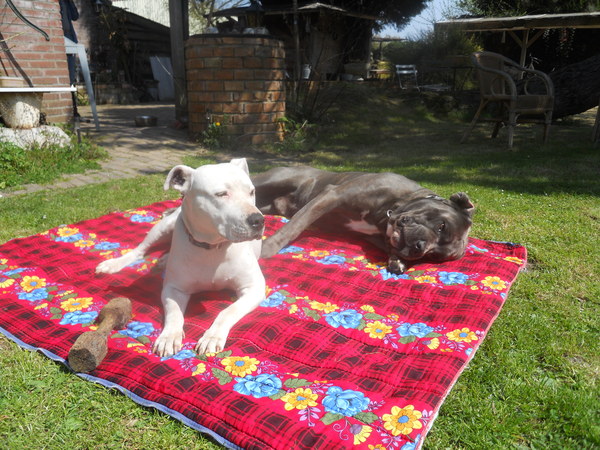 lekker samen in de zon