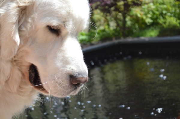 Jego buiten aan het zonnen