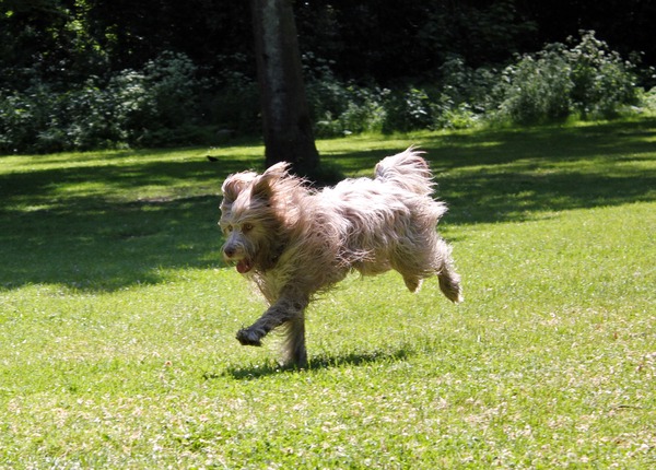 :)  ik kom eraan hoor 