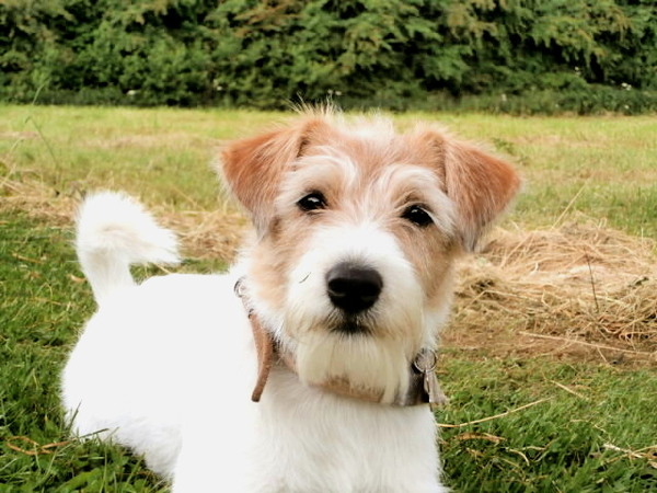 De lente is eindelijk begonnen! 
