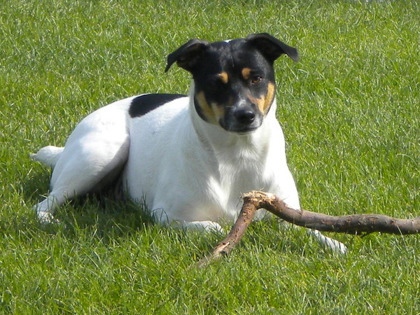 Heerlijk in het gras!