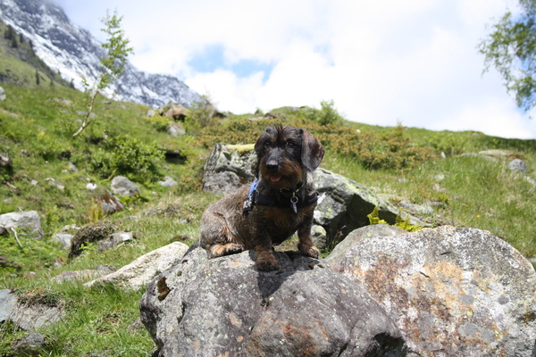 Genieten van de lente in Oostenrijk