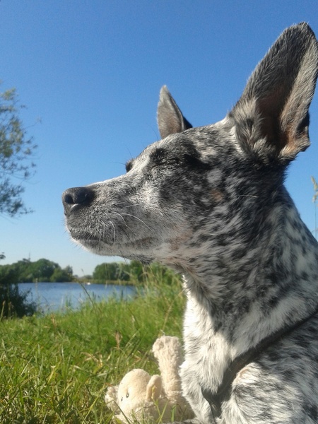 Genieten van het zonnetjes